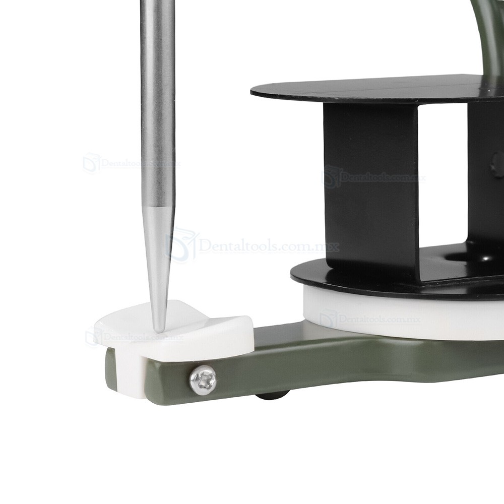 Articulador dental de valor promedio compatible con placas Amann Girrbach